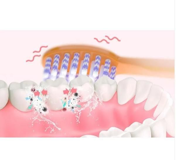 Herhaven Electric Toothbrush